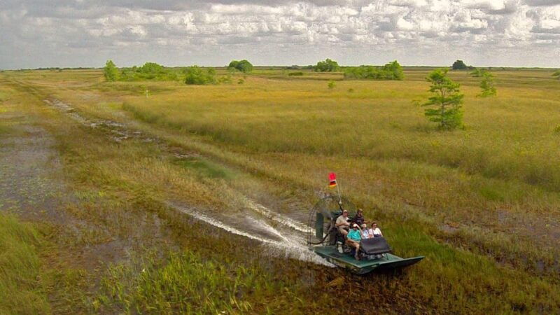 miami-beach-60-min-airboat-transfer-and-wildlife-sanctuary