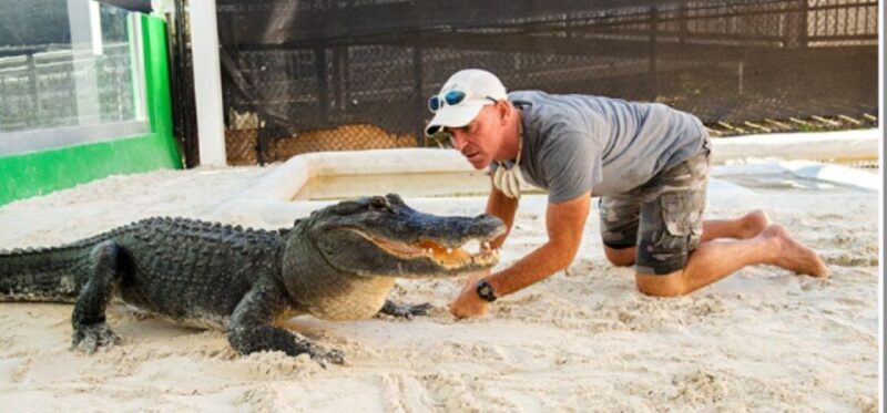 Miami Beach: Everglades Airboat Tours and Rides - Key Points