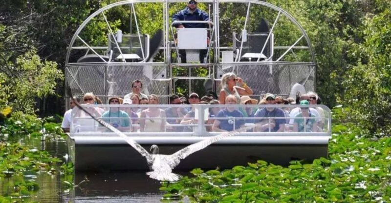 Miami Beach: Everglades Airboat Tours and Rides - Final Thoughts: Who Should Book This Tour
