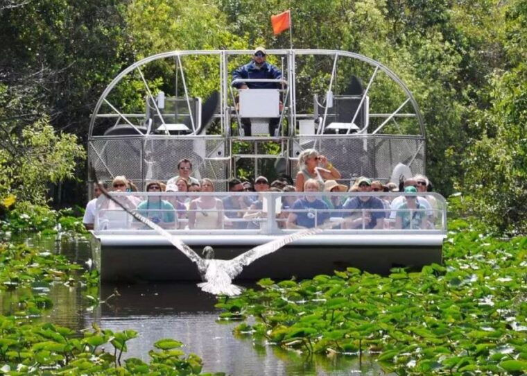 miami-beach-everglades-airboat-tours-and-rides