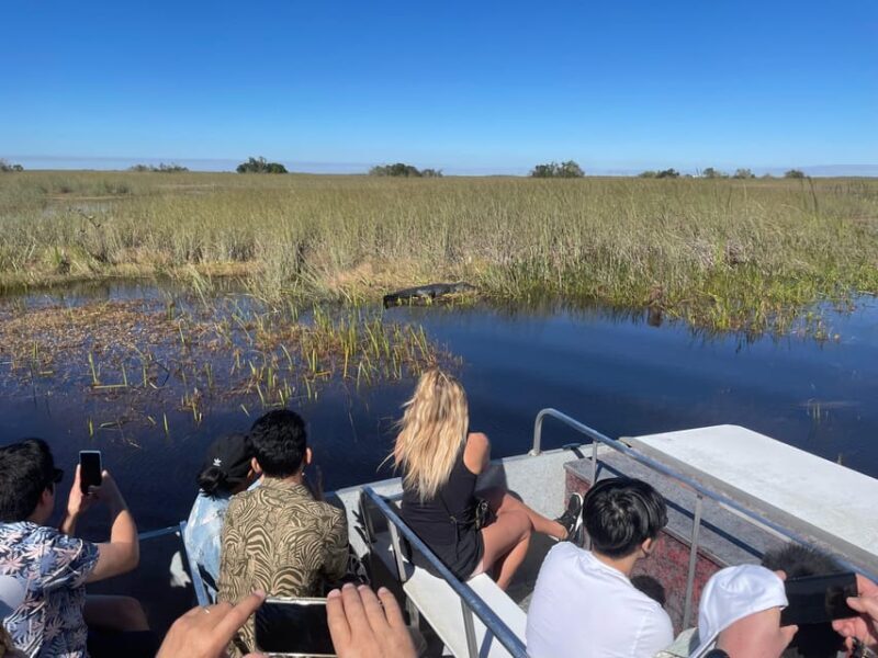 Miami Beach: Everglades Airboat & Wildlife Sanctuary - The Experience in Detail