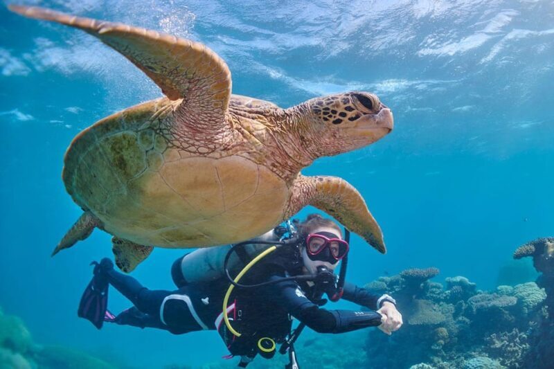 Miami Beach: Guided 2-Tank Reef and Wreck Dive Trip - Deep Dive into the Details