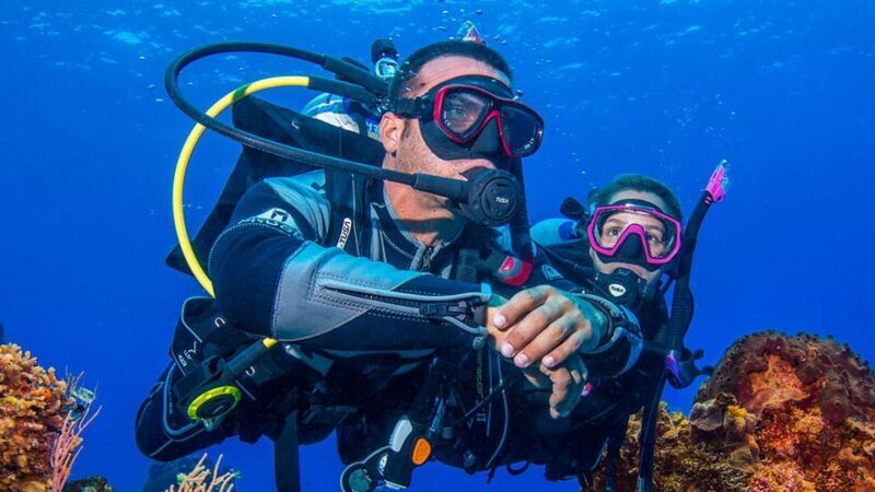 Miami Beach: Guided 2-Tank Reef and Wreck Dive Trip - The Sum Up: Why You Should Consider This Experience