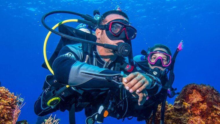 miami-beach-guided-2-tank-reef-and-wreck-dive-trip