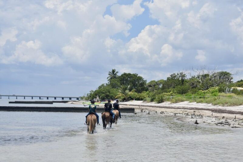 miami-beach-horse-ride-nature-trail
