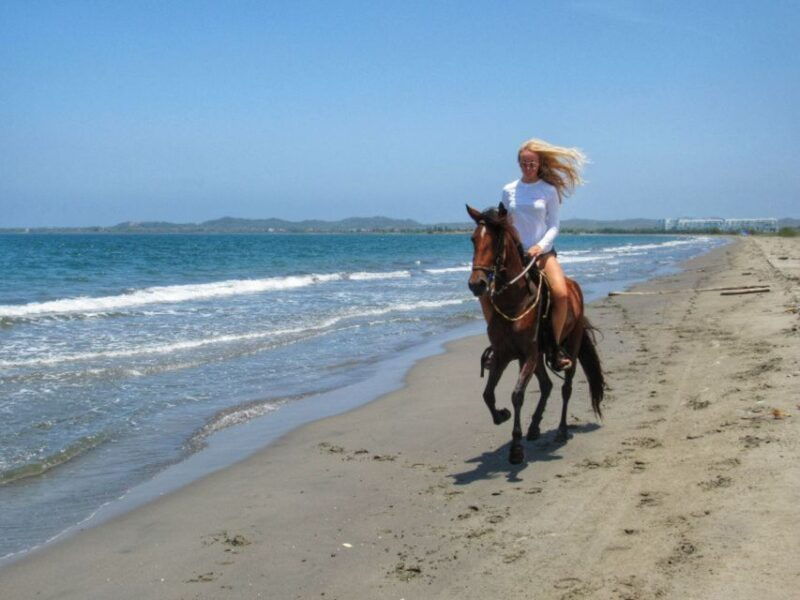 miami-beach-horse-ride-nature-trail