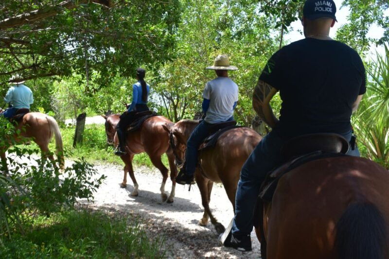 miami-beach-horse-ride-nature-trail