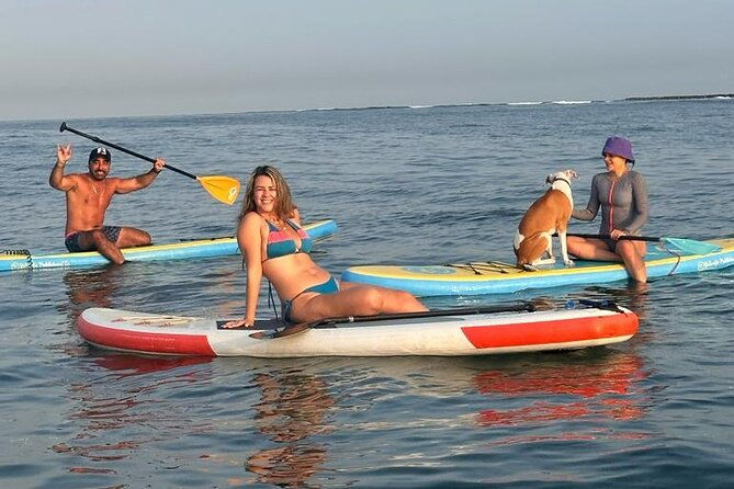 miami-beach-paddleboard-rental-with-instruction