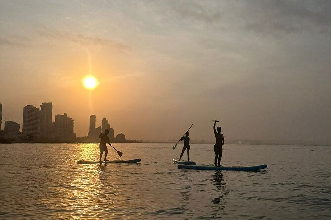 miami-beach-paddleboard-rental-with-instruction
