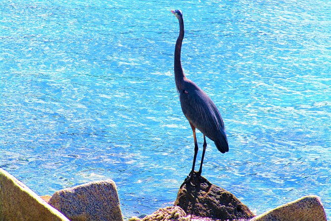 miami-beach-south-point-park-tour