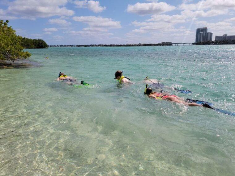 miami-beginner-friendly-island-snorkeling-by-sup-or-kayak