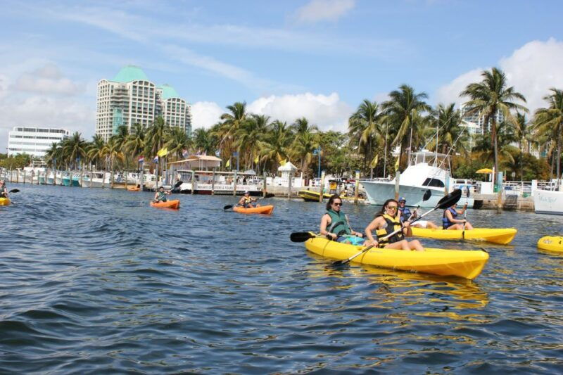 miami-biscayne-bay-kayak-or-paddleboard-rental