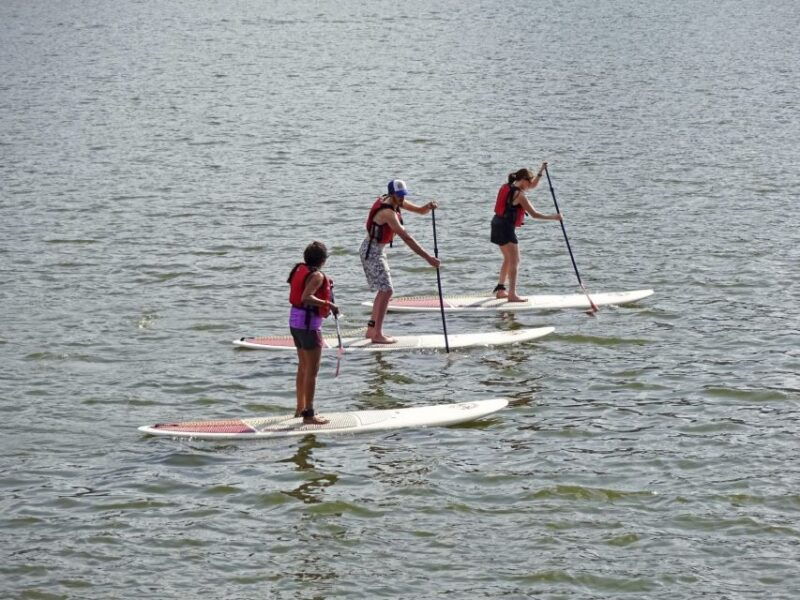 miami-biscayne-bay-kayak-or-paddleboard-rental