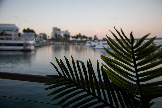 miami-boat-tour-of-celebrity-homes-miami-river-skyline-360-view