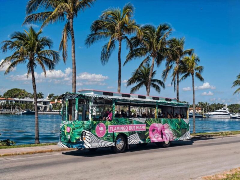 Miami Bus Tour Flamingo Open Air Trolley Bus Tours City Tour - FAQ