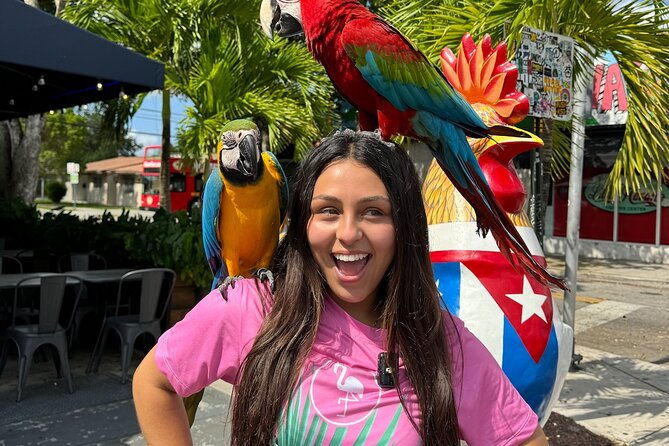 miami-bus-tours-flamingo-bus-miami-tour-open-air-trolley