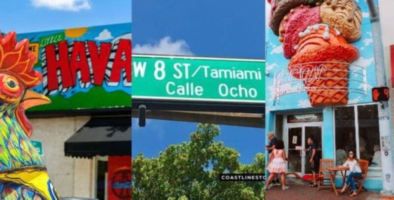 miami-city-tour-and-thriller-speedboat-adventure