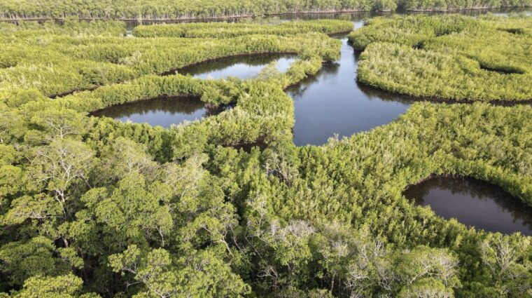 miami-city-tour-with-optional-cruise-and-everglades-entry