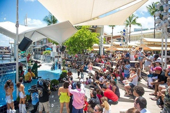 miami-combo-tour-everglades-tour-boat-tour