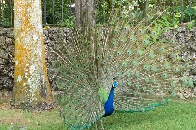 miami-contrasts-tour