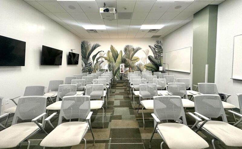 Miami: Cruise Line Lounge Access + Luggage Storage - Who Should Consider This Experience?