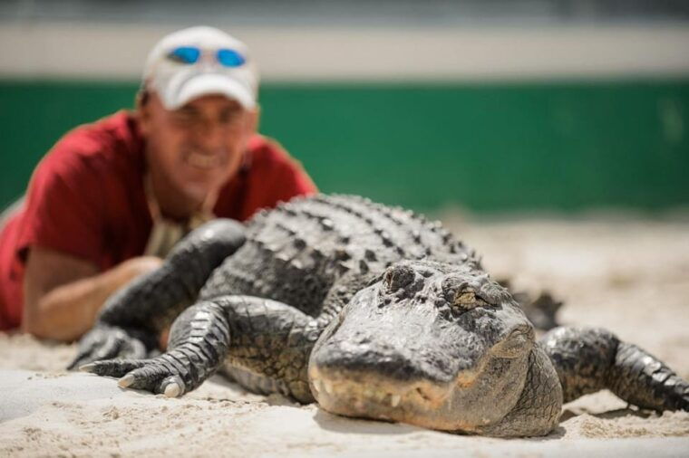 miami-everglades-adventure-big-bus-hop-on-hop-off-tour