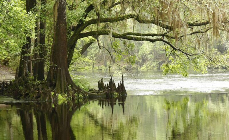 Miami: Everglades Airboat & Animal Sanctuary Tour with Photo - Final Thoughts: Who Will Love This Tour?