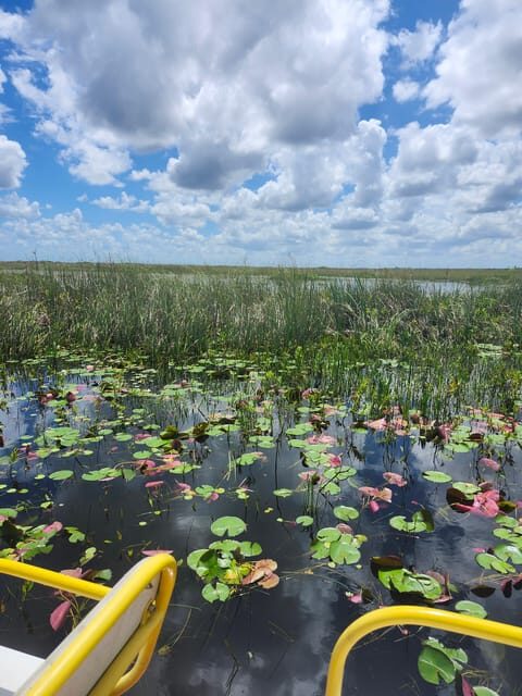 Miami: Everglades Airboat Eco Tour w/ Luxury Transportation - Practical Details & Tips