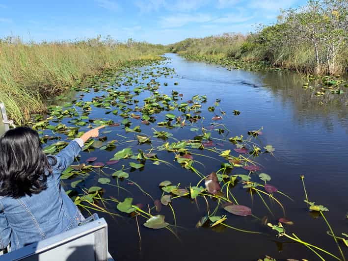 miami-everglades-airboat-photo-gator-experience