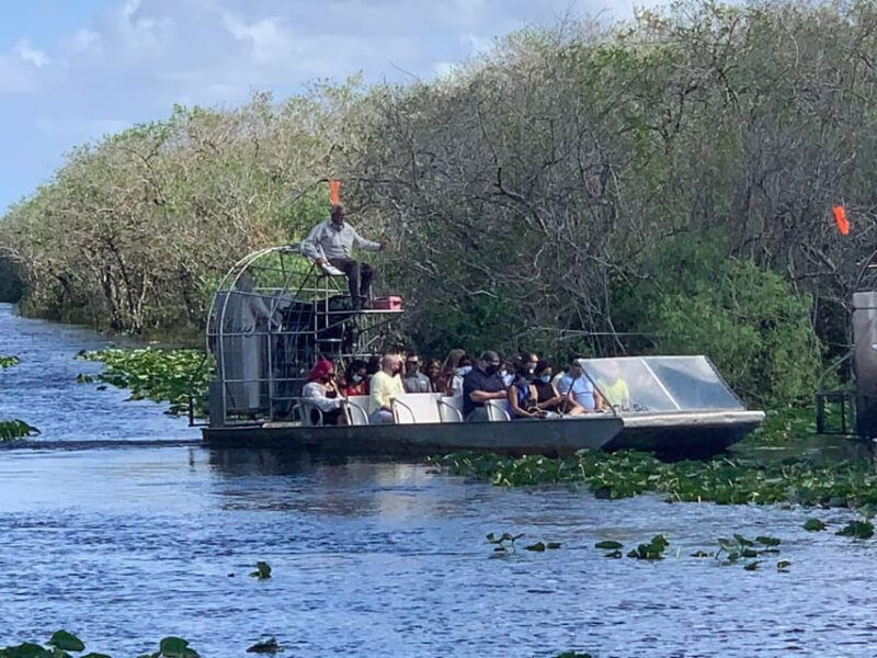 miami-everglades-airboat-photo-gator-experience
