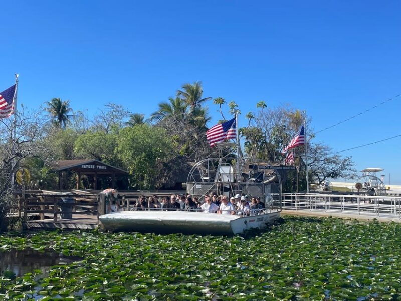 miami-everglades-airboat-photo-gator-experience