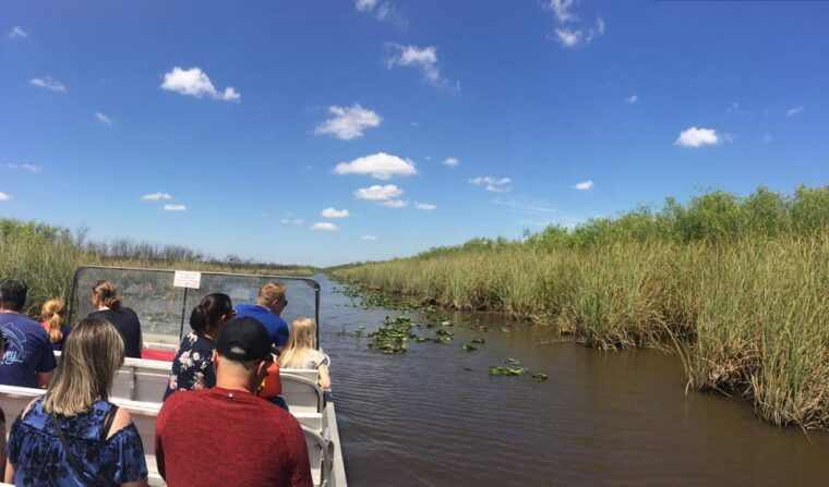 miami-everglades-airboat-photo-gator-experience