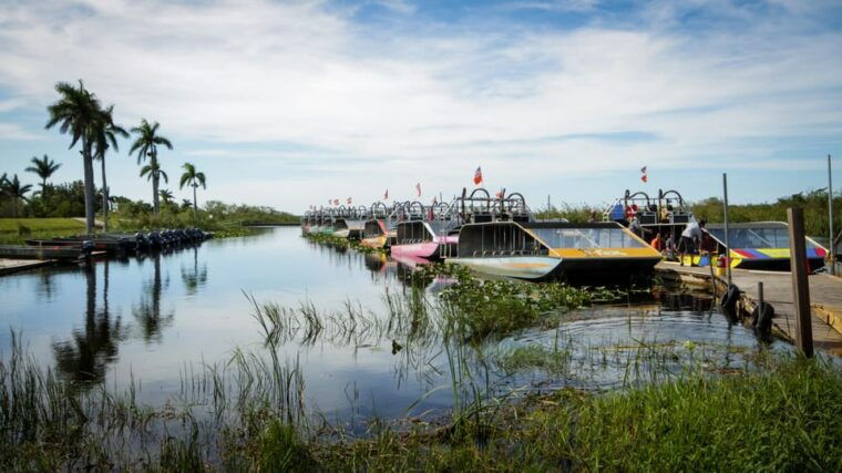 miami-everglades-airboat-photo-gator-experience