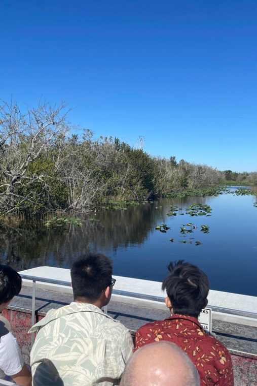 miami-everglades-airboat-photo-gator-experience