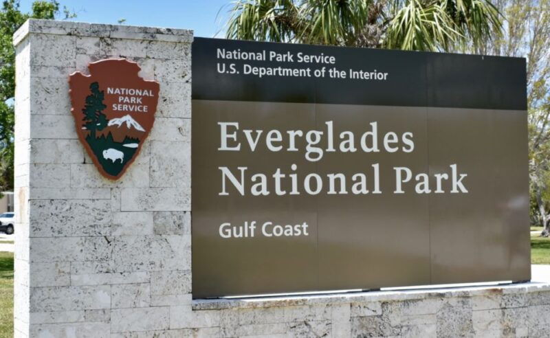 miami-everglades-airboat-ride-and-tram-tour