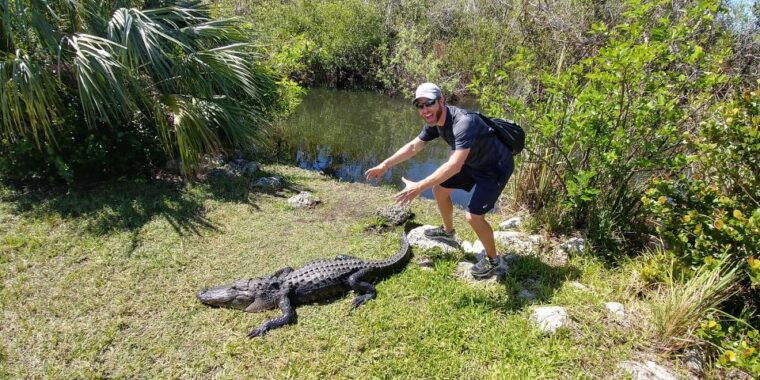 miami-everglades-airboat-ride-and-tram-tour