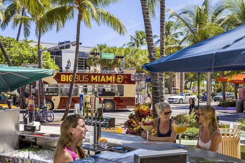 Miami: Everglades Experience, Bay Cruise & Open-top Bus Tour - Key Points