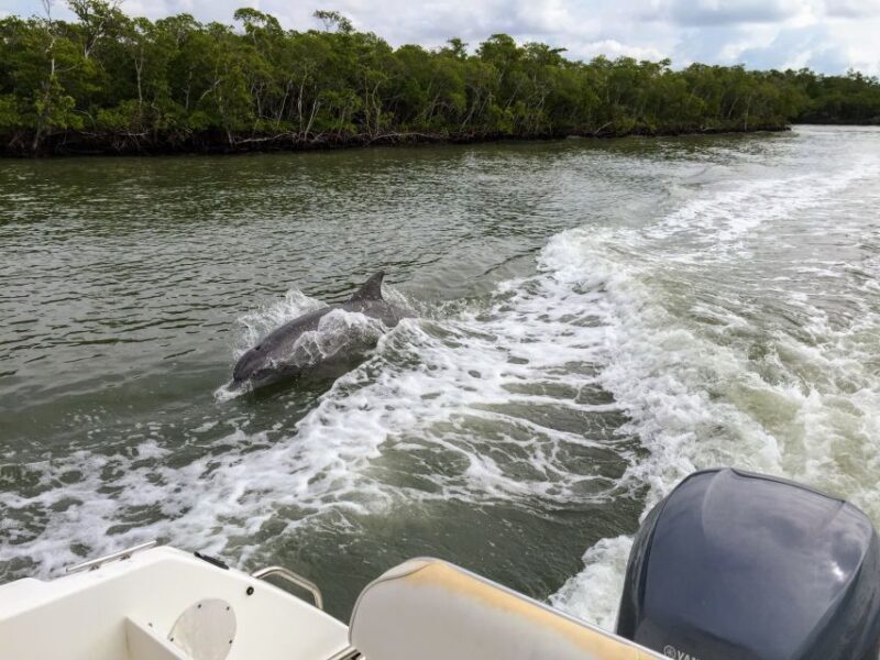 Miami: Everglades Full-Day Tour with 2 Boat Trips and Lunch - The Full Experience: What You Can Expect