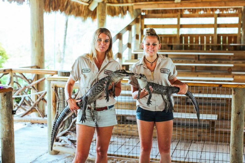 miami-everglades-national-park-airboat-tour-wildlife-show