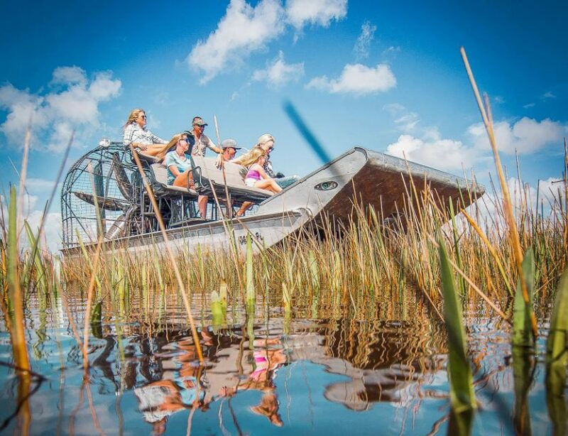 miami-everglades-national-park-airboat-tour-wildlife-show