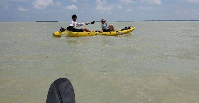 Miami: Everglades National Park Hiking and Kayaking Day Trip - Key Points