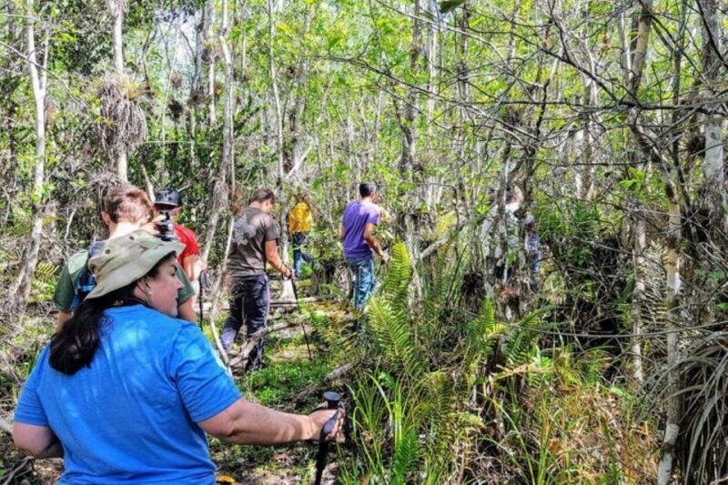 Miami: Everglades National Park Hiking and Kayaking Day Trip - Considerations Before Booking