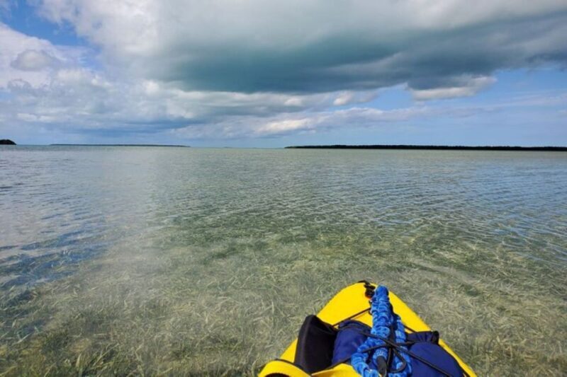 Miami: Everglades National Park Hiking and Kayaking Day Trip - Who Is This Tour Best For?