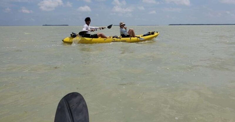 miami-everglades-national-park-hiking-and-kayaking-day-trip