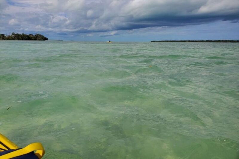 miami-everglades-national-park-hiking-and-kayaking-day-trip