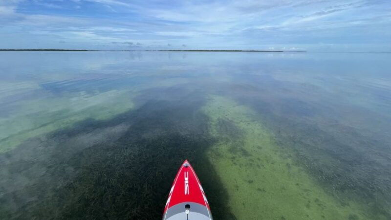 miami-everglades-national-park-hiking-and-kayaking-day-trip