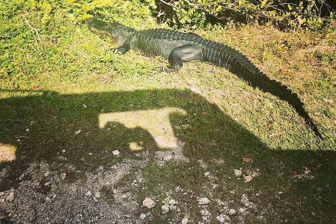 miami-florida-everglades-adventure-package
