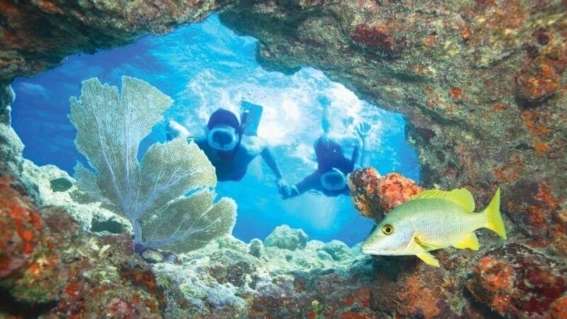 miami-fort-lauderdale-sightseeing-pass-for-35-attractions