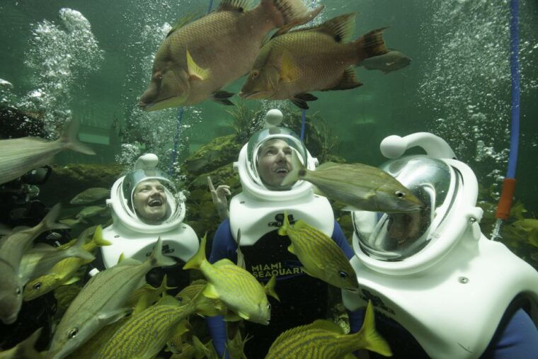 miami-fort-lauderdale-sightseeing-pass-for-35-attractions