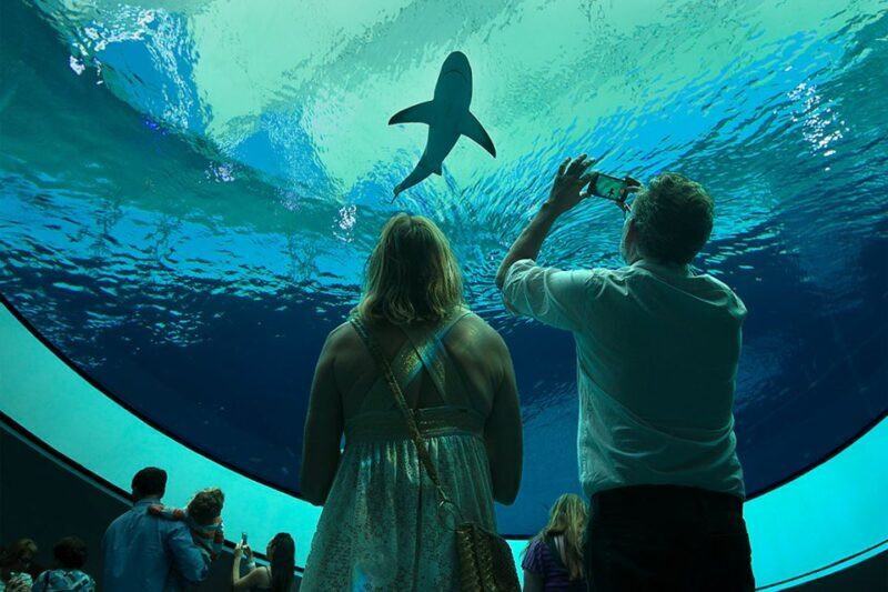 Miami: Frost Museum of Science and Planetarium Entry Ticket - Key Points